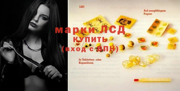 ешки Белокуриха