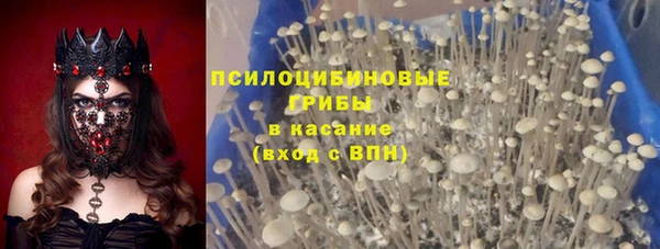 ешки Белокуриха