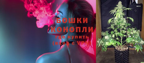 ешки Белокуриха